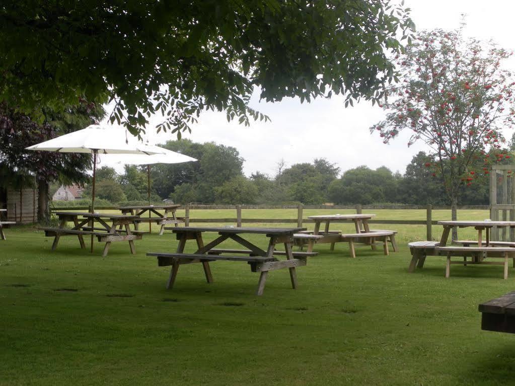 The Chetnole Inn المظهر الخارجي الصورة